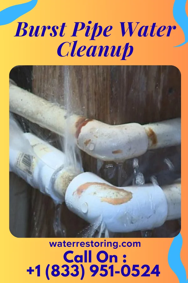 Burst Pipe Water Cleanup in Mount Cory, OH