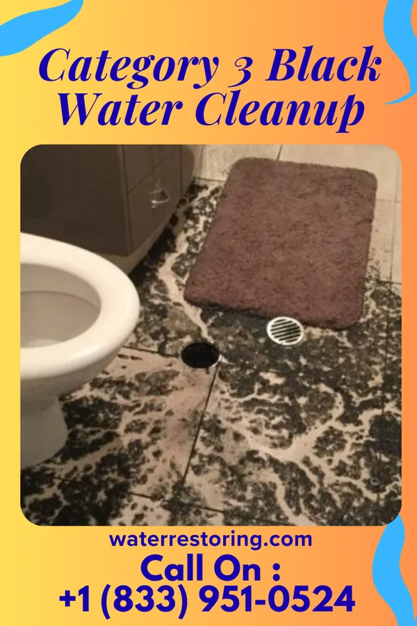 Category 3 Black Water Cleanup in Mount Cory, OH