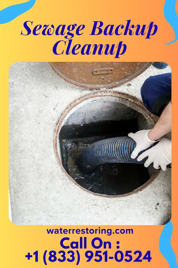 Sewage Backup Cleanup in Mount Cory, OH