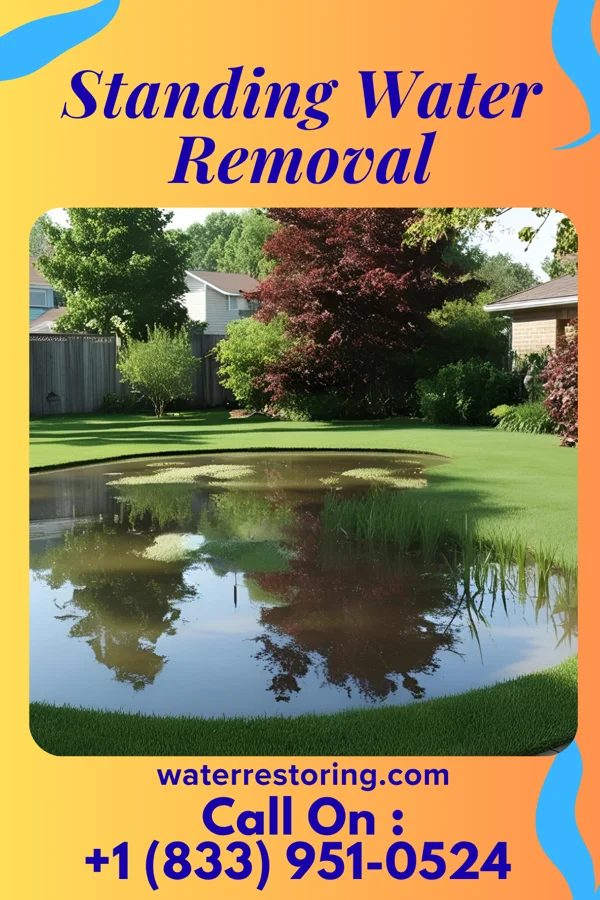 Standing Water Removal in Mount Cory, OH